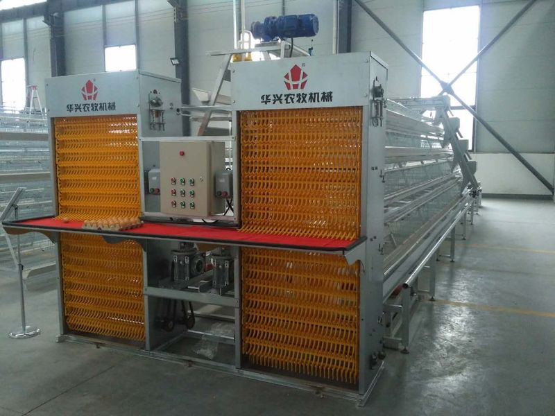 Henan Huaxing Poultry Equipments Co.,Ltd. কারখানা উত্পাদন লাইন