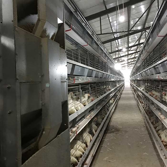 হাঁস-মুরগির জন্য ফিডার ব্যাটারি কেজ চালানো, কাস্টম উচ্চতা আধুনিক চিকেন খাঁচা